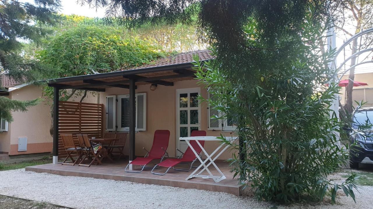 Bungalow Comfort 100 M From The Beach Premantura Eksteriør bilde